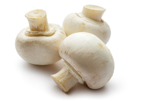 Champignons 2.5kg