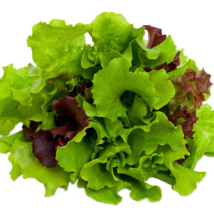 Mesclum mix 100g