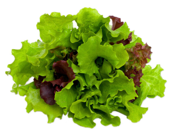 Mesclum mix 100g